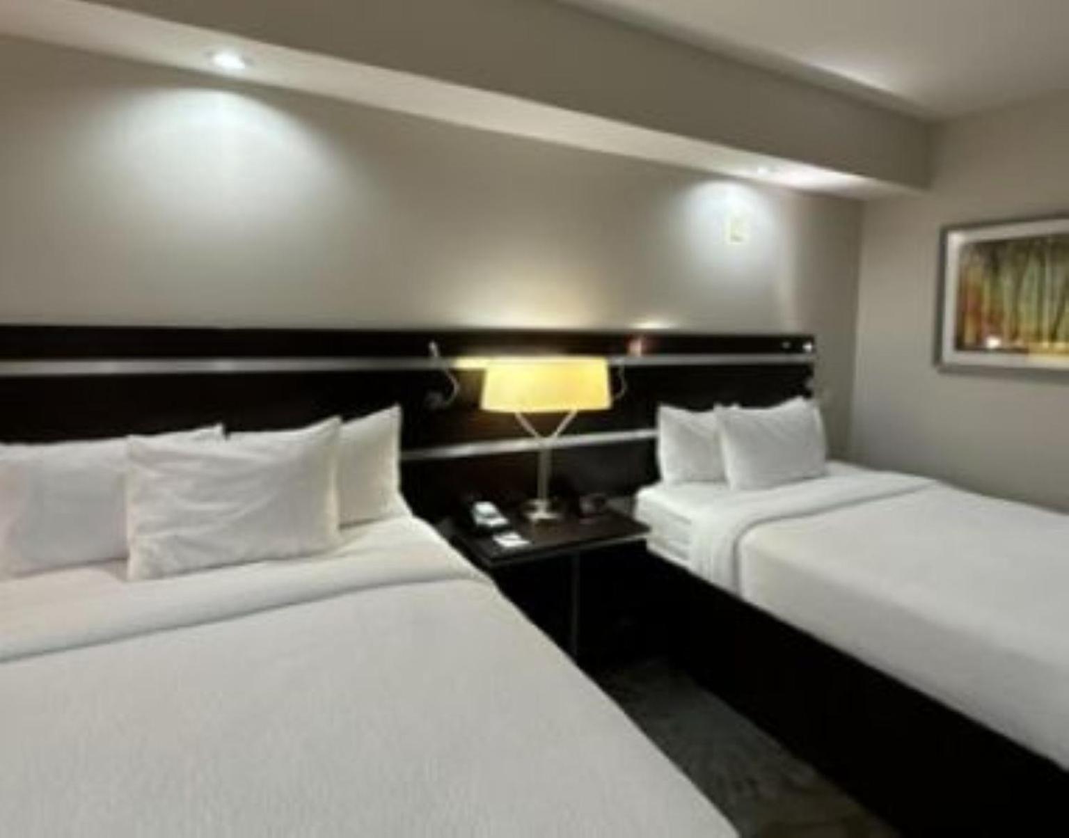 Fairfield Inn And Suites By Marriott North Spring Eksteriør bilde